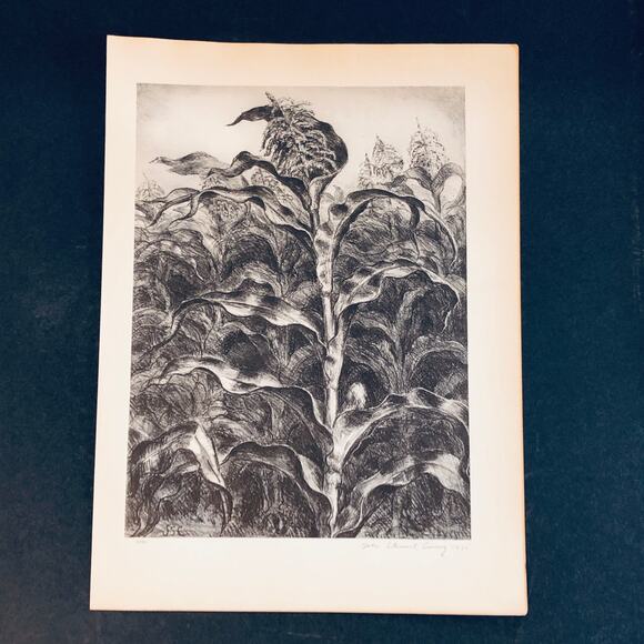 John Steuart Curry "Corn" Farm Art 1930s Print Treasury Collection Sketch Vtg - Picture 1 of 10